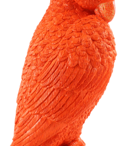 6488 KAKADU TROPICAL ICON